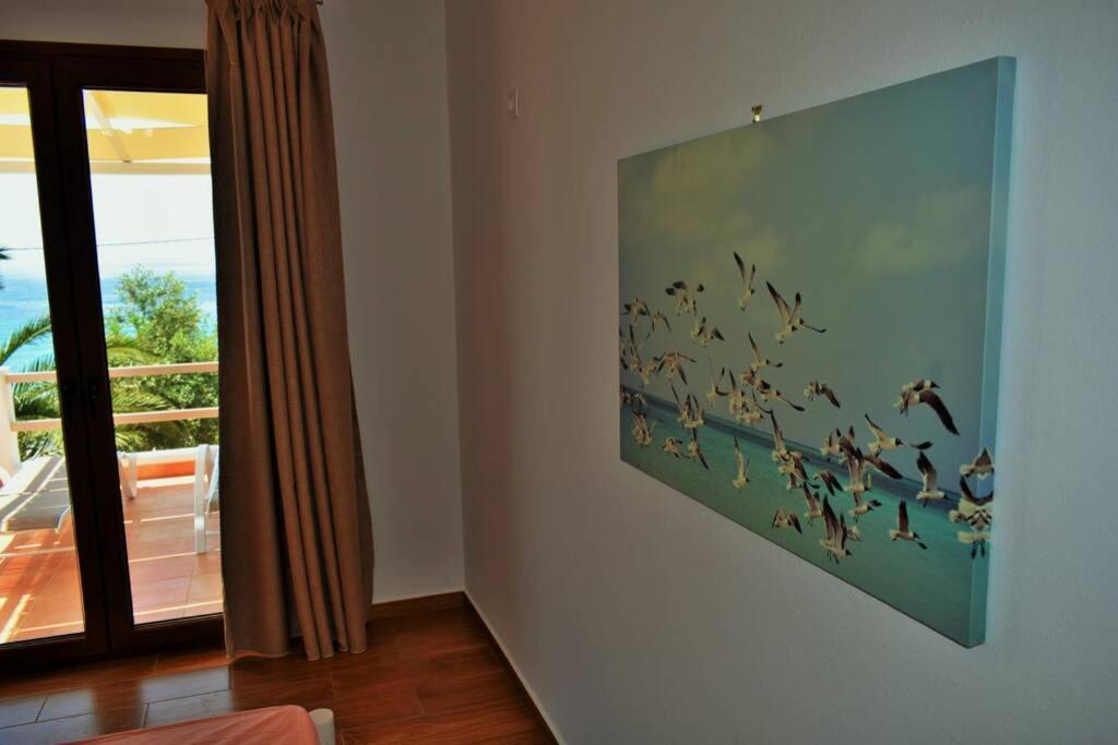 Meltemi Appartment Πατητήρι Εξωτερικό φωτογραφία