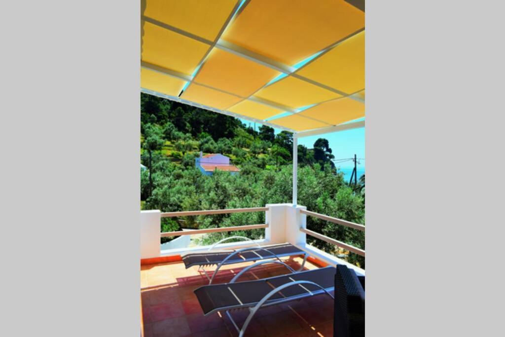 Meltemi Appartment Πατητήρι Εξωτερικό φωτογραφία